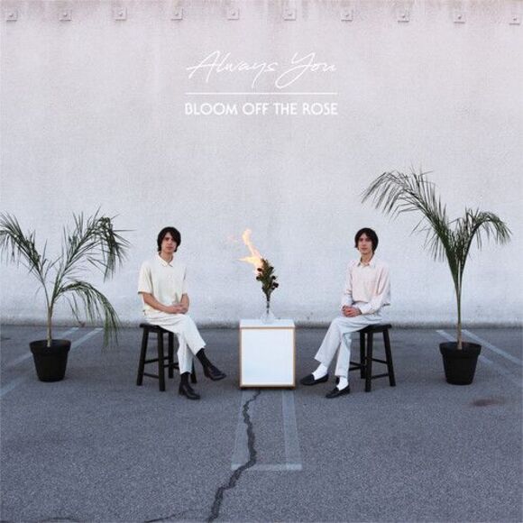 Bloom Off The Rose - Picture 1 of 1